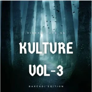 Vibekulture Sa – Miami Icardi