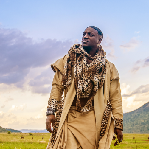 Akon &ndash; Slow Motion Remix