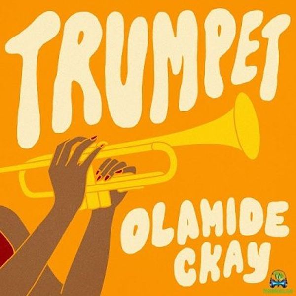 Gabriel9yn – Olamide, CKay - Trumpet  cover
