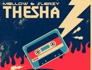 JAY&rsquo;Mshanam &ndash; Thesha [Bootleg Mix]