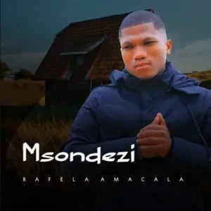 Msondezi &ndash; Amakula