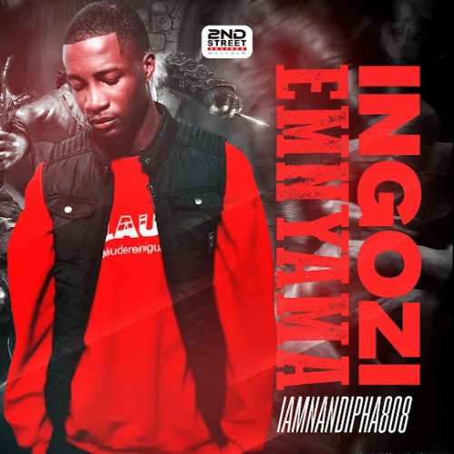 Nkosinathi Nyembe &ndash; Potantial Ft. Lungsta