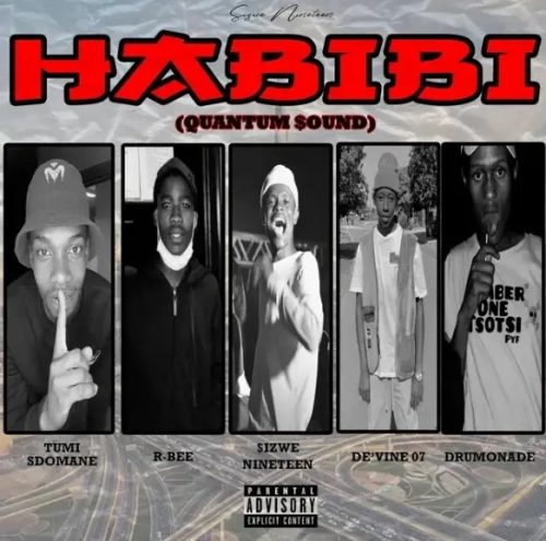 Sizwe Nineteen &ndash; Habibi (Quantum Sound)