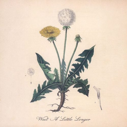 Snoh Aalegra &ndash; Wait A Little Longer