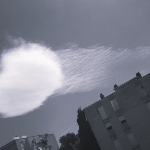 Domina Petric – Sonata F major: Allegro Domina Petric – Sonata F major: Allegro