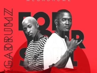 Megadrumz ft Jon Delinger – Mpoi Mpoi Megadrumz ft Jon Delinger – Mpoi Mpoi