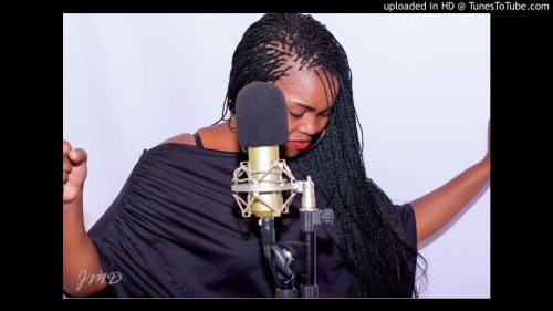 House Victimz - Weired Shandis (Original Mix) House Victimz - Weired Shandis (Original Mix)