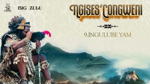 Big Zulu – Ingulube Yami Big Zulu – Ingulube Yami