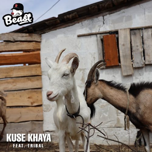 Beast Rsa - Kuse Khaya Ft. Tribal Beast Rsa - Kuse Khaya Ft. Tribal