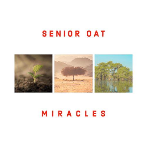 Senior Oat - Reason To Pray Ft. Ms Abbey & Andylesh (Prod. Mafadi Albert Mogale & Mzwandile Vilakazi) Senior Oat - Reason To Pray Ft. Ms Abbey & Andylesh (Prod. Mafadi Albert Mogale & Mzwandile Vilakazi)