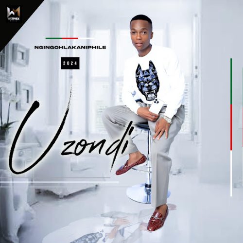 Uzondi - Imizwa Yami Ft. Sne Ntuli Uzondi - Imizwa Yami Ft. Sne Ntuli