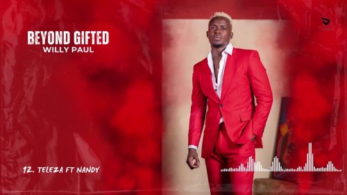 Willy Paul X Nandy – Teleza Visualizer Willy Paul X Nandy – Teleza Visualizer