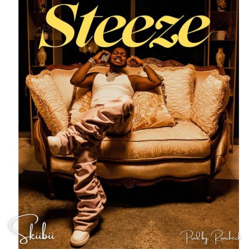 Skiibii - Steeze Skiibii - Steeze