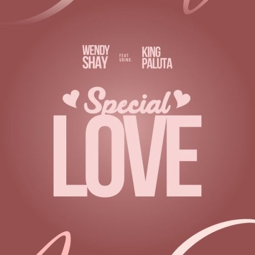 Wendy Shay - Special Love Ft. King Paluta Wendy Shay - Special Love Ft. King Paluta